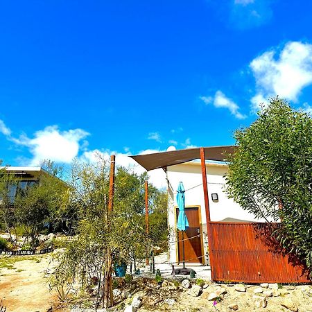 Oasis 444 Hotel San Marcos  Exterior photo